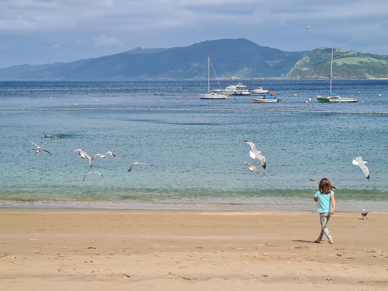 the 5 best things to do in getaria ocean