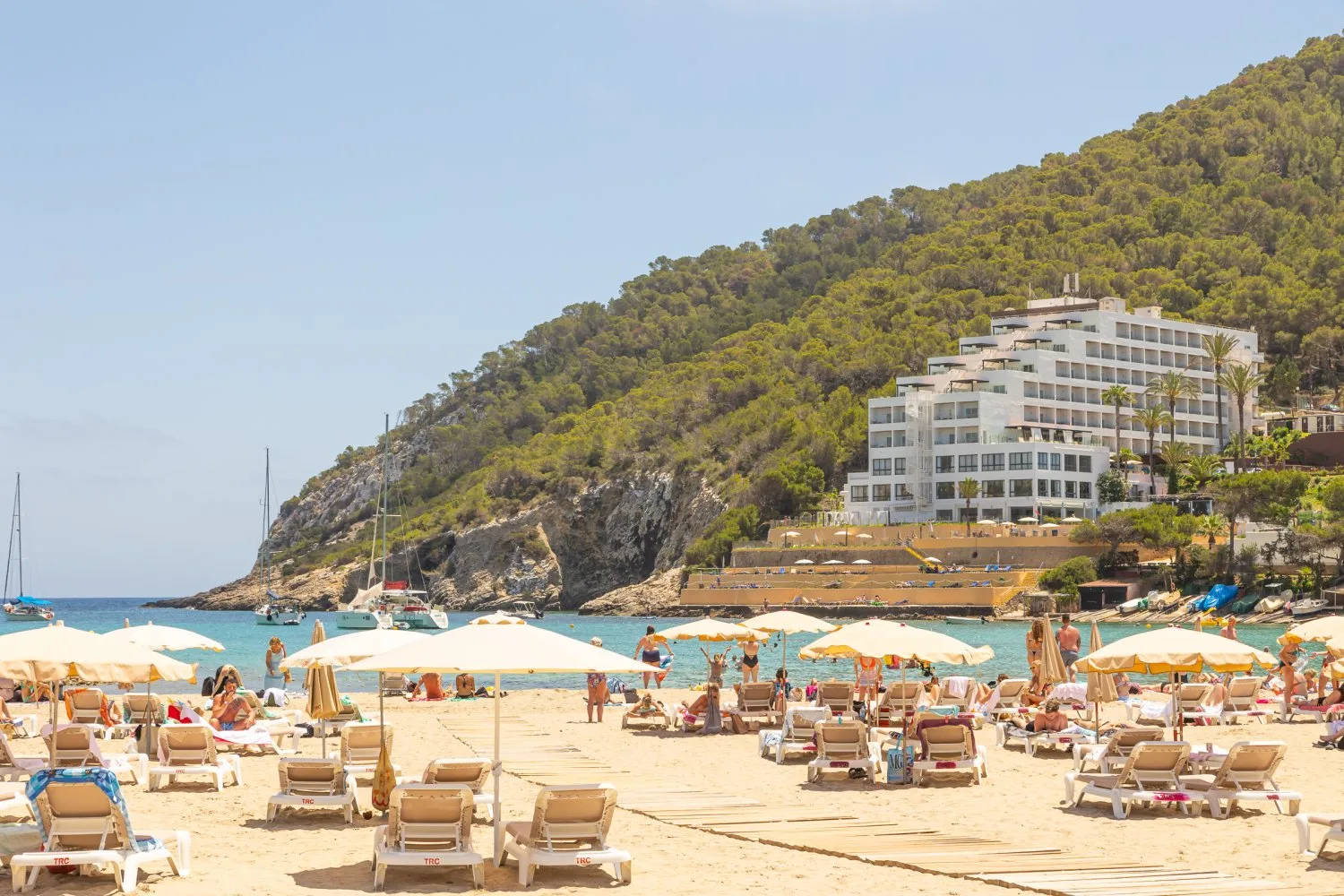 Cala Llonga Ibiza beach with sun loungers, umbrellas, turquoise water, and green hills.