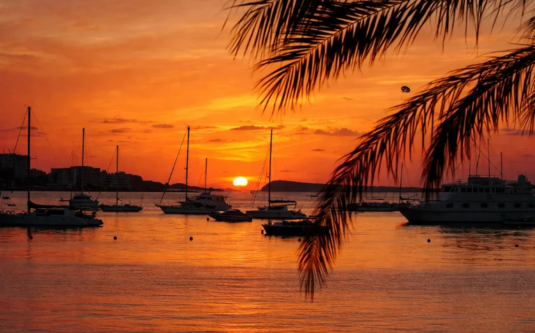 Watching sunset over the harbor with boats, palm leaves, and orange sky while doing things to do in ibiza